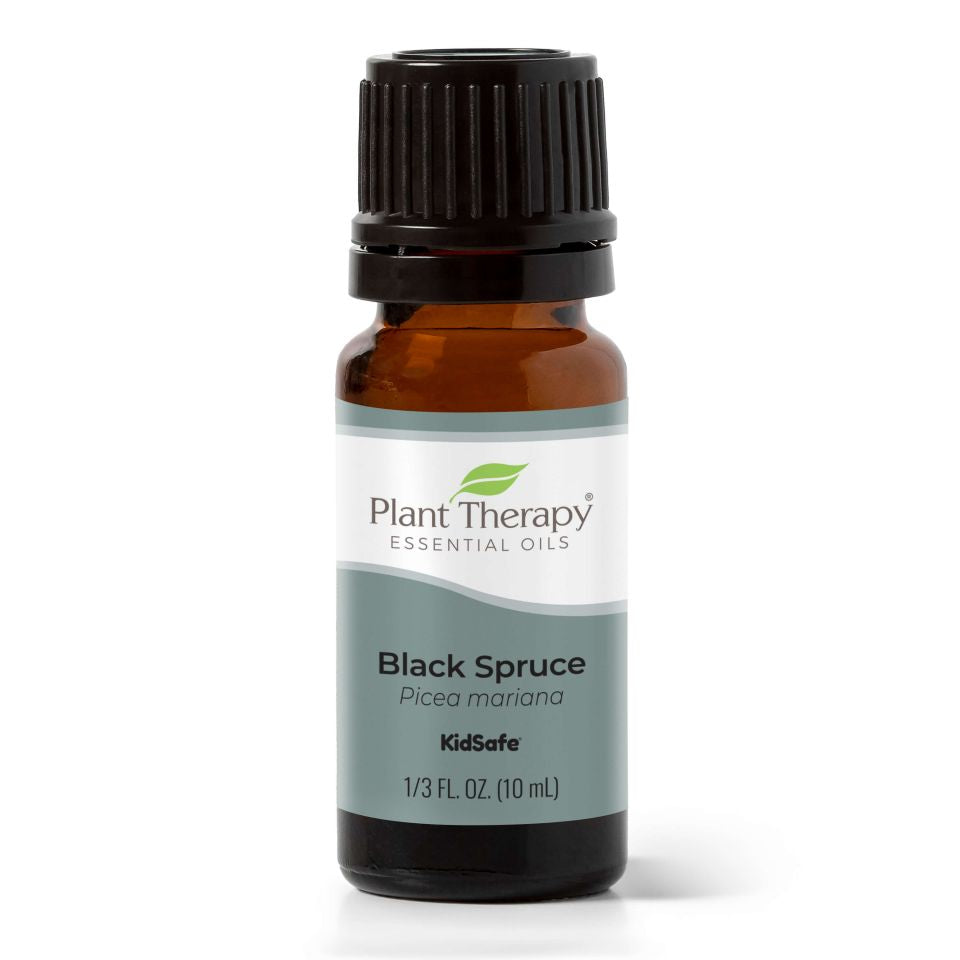 Plant Therapy Black Spruce Essential Oil