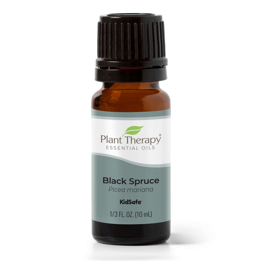 Plant Therapy Black Spruce Essential Oil