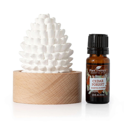 Plant Therapy Cedar & Pine Passive Diffuser Set