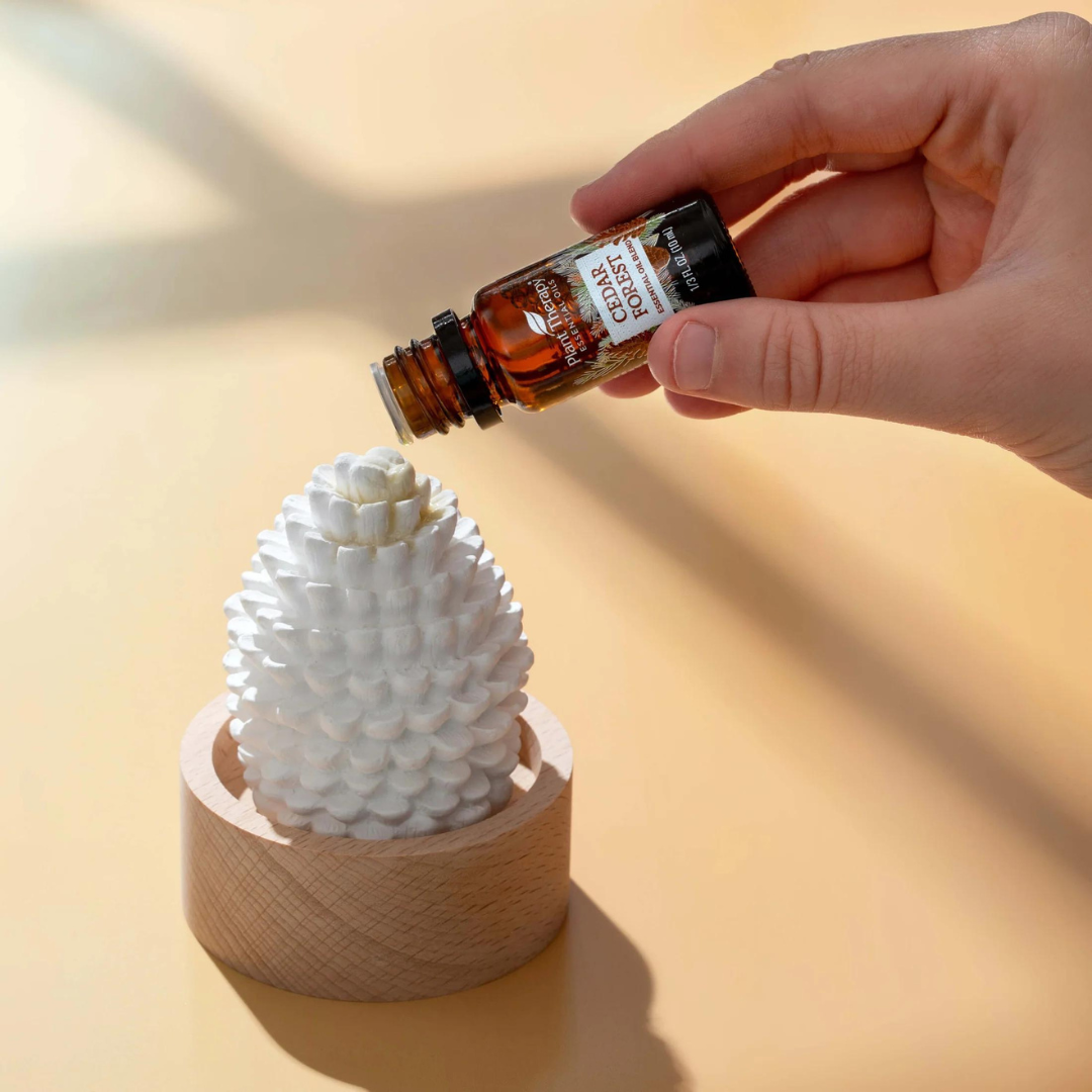 Plant Therapy Cedar & Pine Passive Diffuser Set