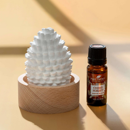 Plant Therapy Cedar & Pine Passive Diffuser Set