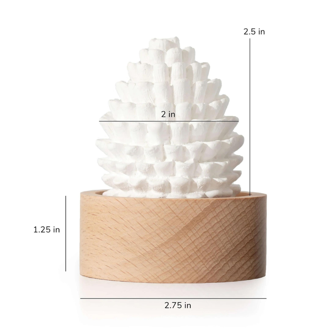 Plant Therapy Cedar & Pine Passive Diffuser Set