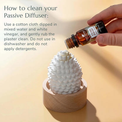 Plant Therapy Cedar & Pine Passive Diffuser Set