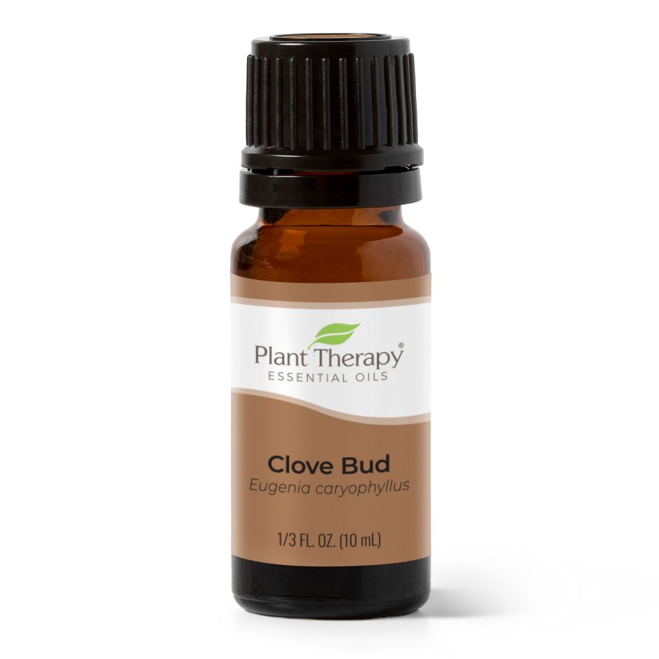 Plant Therapy Clove Bud Essential Oil