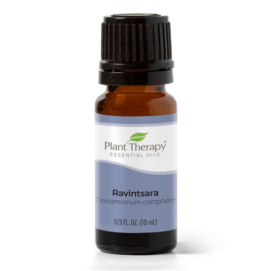 Plant Therapy Ravintsara Essential Oil