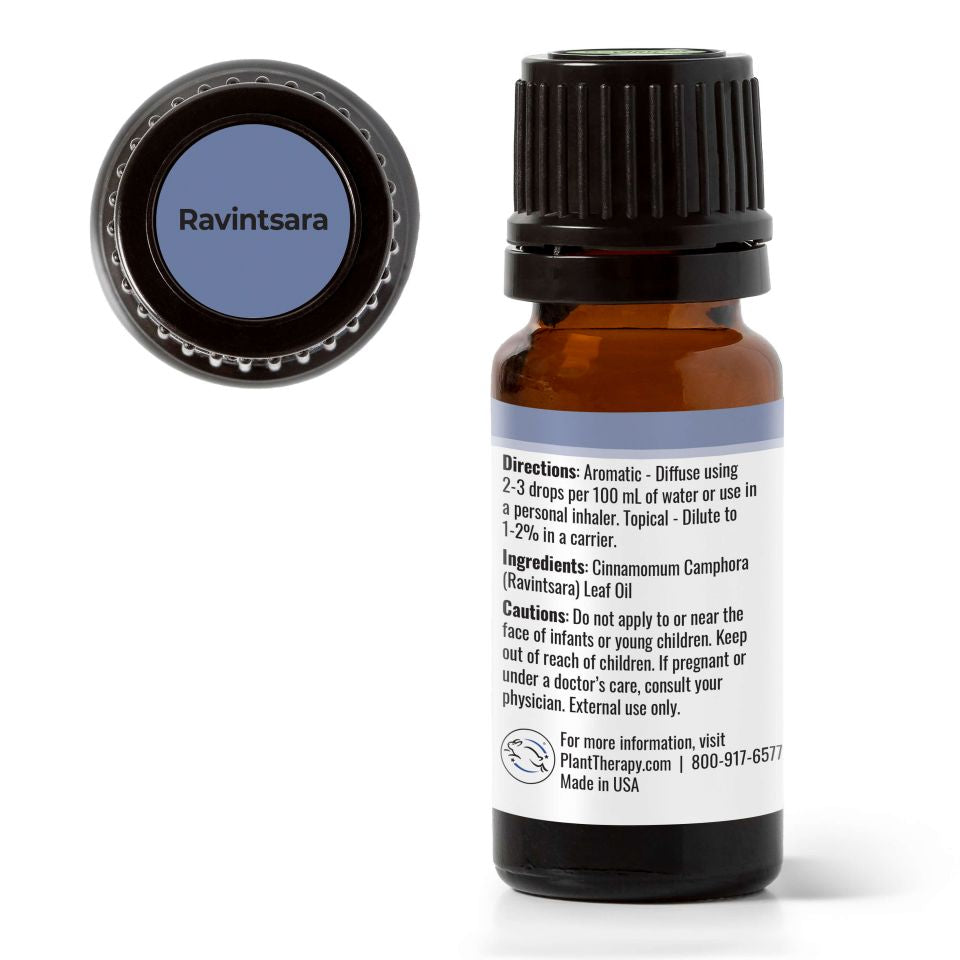 Plant Therapy Ravintsara Essential Oil