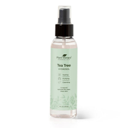 Plant Therapy Tea Tree Hydrosol